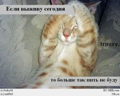 Як пити, ніж закушувати і що робити на наступний день (похмілля) Як пити, ніж закушувати і що робити на наступний день