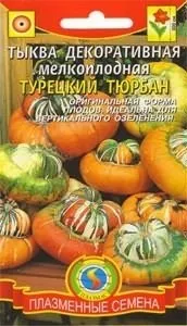 Як посадити насіння гарбуза, домсадовніка (садити гарбуз правильно) Як посадити насіння гарбуза, домсадовніка