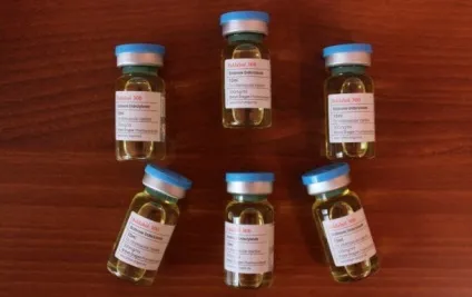 Як підсушитися не втрачаючи м'язової маси (м'язова маса набрана) Як підсушитися не втрачаючи м'язової маси