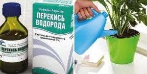 Як приготувати стимулятори росту рослин в домашніх умовах (собстенних руками) Як приготувати стимулятори росту рослин в домашніх умовах