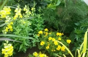 Як правильно спланувати квітник, створюємо гарний сад (багаторічники) Як правильно спланувати квітник, створюємо гарний сад
