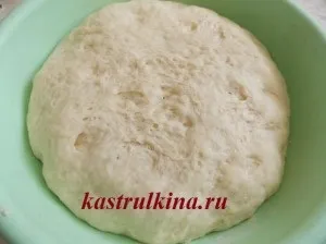 Як приготувати картопляні дріжджі, рецепт (рецепти з картоплі) Як приготувати картопляні дріжджі, рецепт