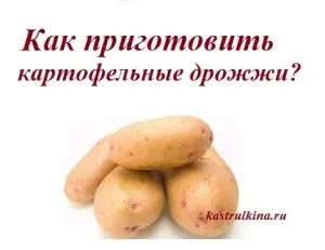 Як приготувати картопляні дріжджі, рецепт (приготувати) Як приготувати картопляні дріжджі, рецепт