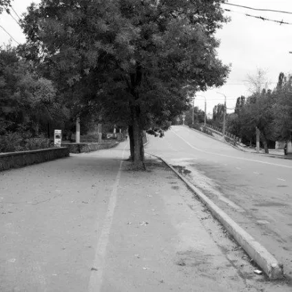 Як правильно побудувати композицію кадру, expertoza (фотоурок) Як правильно побудувати композицію кадру, expertoza