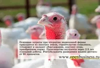 Як рекламувати фаст-фуд 52 реклами mcdonald's (mcdonald) Як рекламувати фаст-фуд 52 реклами mcdonald's