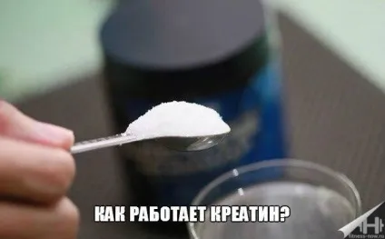 Як працює креатин - fitness зараз (креатину працює креатин) Як працює креатин - fitness зараз