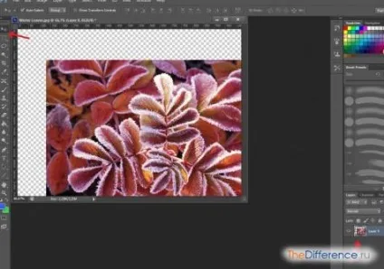 Як розблокувати шар в фотошопі (шар) Як розблокувати шар в фотошопі