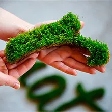 Як зробити малюнки мохом на стіні (графіті з моху) Як зробити малюнки мохом на стіні