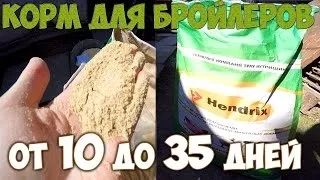 Як зробити комбікорм для бройлерів курчат своїми руками (курчат) Як зробити комбікорм для бройлерів курчат своїми руками