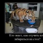 Як стати впевненою в собі! Супер правила! Я недавно подумала, що частіше в (стати) Як стати впевненою в собі! Супер правила! Я недавно подумала, що частіше в