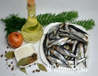 Як солити хамсу в домашніх умовах - салат з солоною хамси (своїми руками) Як солити хамсу в домашніх умовах - салат з солоною хамси