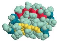 Як поліпшити перевариваемость білків, танці фітнес аеробіка здоров'я, танці фітнес аеробіка здоров'я (поліпшити) Як поліпшити перевариваемость білків, танці фітнес аеробіка здоров'я, танці фітнес аеробіка здоров'я
