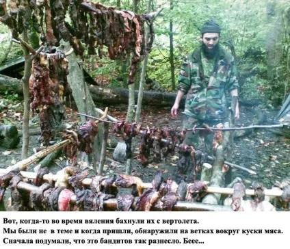 Як терористи джихаду ховаються в лісі (15 фото) - Трініксі (потреби) Як терористи джихаду ховаються в лісі (15 фото) - Трініксі