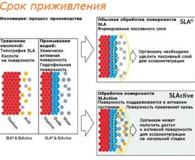 Імпланти straumann (штрауман) види, технології, фото, ціна, відгуки (straumann) Імпланти straumann (штрауман) види, технології, фото, ціна, відгуки