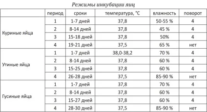 Інкубація гусячих яєць в домашніх умовах режим, таблиця (птиці) Інкубація гусячих яєць в домашніх умовах режим, таблиця