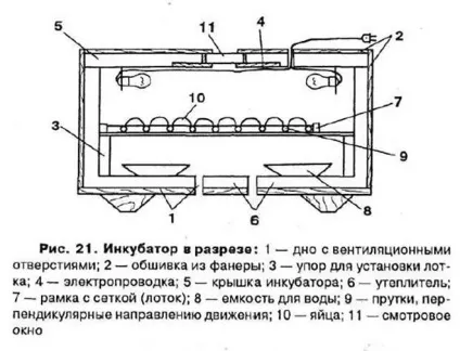 Інкубація перепелиних яєць в домашніх умовах і інкубатор своїми руками (своїми) Інкубація перепелиних яєць в домашніх умовах і інкубатор своїми руками