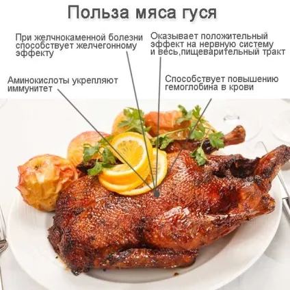 Інкубація гусячих яєць в домашніх умовах режим, таблиця (інкубація гусячі яйця домашні умови розведення гуси бізнес режим інкубатор план куплю температура зберігання таблиця инкубационное) Інкубація гусячих яєць в домашніх умовах режим, таблиця