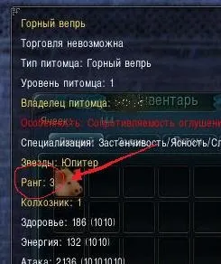 Як виростити вихованця