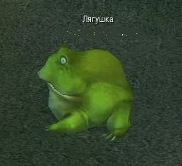 Як виростити вихованця