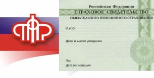 Як виглядає СНІЛС