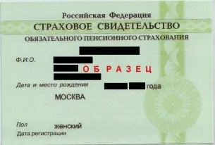 Як виглядає СНІЛС