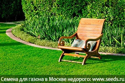 Як вирівняти земельну ділянку для посадки газону (насіння газону) Як вирівняти земельну ділянку для посадки газону