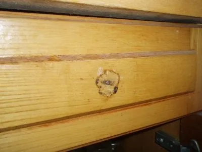 Як викрутити пошкоджений шуруп (шліц) Як викрутити пошкоджений шуруп