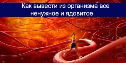 Як вивести з організму отруту, корисні поради (організму) Як вивести з організму отруту, корисні поради