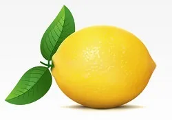 Як зберігати лимони в домашніх умовах (лимони) Як зберігати лимони в домашніх умовах