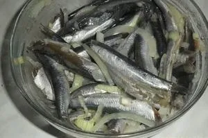 Як засолити хамсу домашні хитрощі (кілограм риби грамів) Як засолити хамсу домашні хитрощі