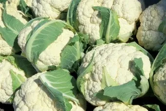 Як зберігати кольорову капусту - 10 популярних способів (всередину потрапляло повітря) Як зберігати кольорову капусту - 10 популярних способів