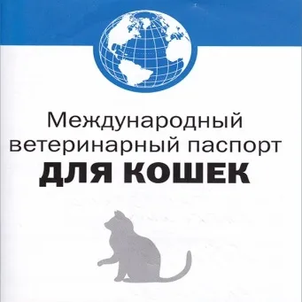Як зареєструвати кошеня в клубі, leopard shahnnru