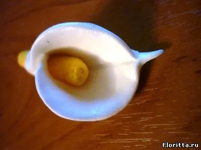 Кали з полімерної глини