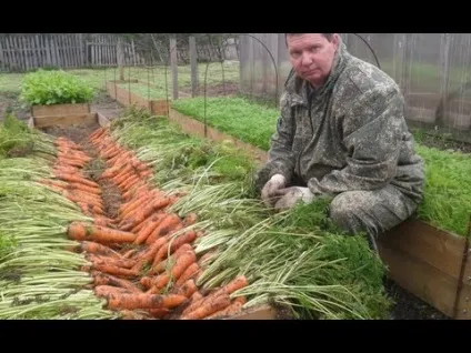 Як я робив на