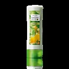 Кондиціонери для волосся від Оріфлейм - oriflame - догляд за волоссям (oriflame) Кондиціонери для волосся від Оріфлейм - oriflame - догляд за волоссям