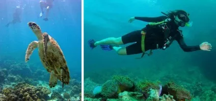До липі (koh lipe) - ідеальний острів для пляжного відпочинку в Таїланді - 2017 відгуки та форум - (пляжного) До липі (koh lipe) - ідеальний острів для пляжного відпочинку в Таїланді - 2017 відгуки та форум -