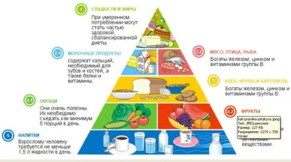 Коли краще їсти сир вранці або ввечері (є) Коли краще їсти сир вранці або ввечері