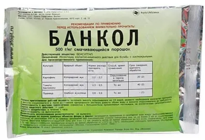 Клоп-солдатик якої шкоди несе для людини, чим харчується, фото і відео огляд, як позбутися (людини) Клоп-солдатик якої шкоди несе для людини, чим харчується, фото і відео огляд, як позбутися