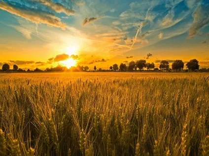 Коли пішла з життя мама, а слідом за нею пішов батько, печаль свою під склепіння храму приніс заплаканий (мама) Коли пішла з життя мама, а слідом за нею пішов батько, печаль свою під склепіння храму приніс заплаканий