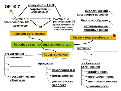 Коли виникла біосфера (з'явилася) (виникла) Коли виникла біосфера (з'явилася)