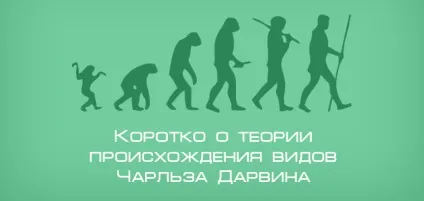 Коротко про теорію походження видів Чарльза Дарвіна, блог 4brain (видів) Коротко про теорію походження видів Чарльза Дарвіна, блог 4brain