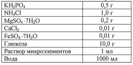Конструювання поживних середовищ для вирощування мікроорганізмів (аеробні процеси) Конструювання поживних середовищ для вирощування мікроорганізмів
