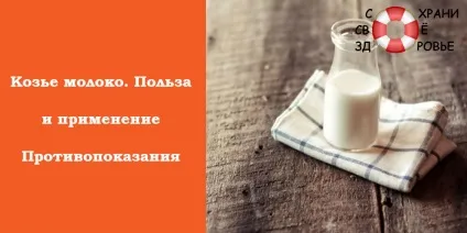 Козяче молоко - користь і шкода для чоловіків, жінок і дітей (козяче молоко користь і шкода корисні властивості і протипоказання для грудничка з якого віку для літніх зі скількох місяців можна давати кип'ятити чи ні для дитини чи можна кип'ятити для жінок можна мамі, що годує для чоловіків калорійність яке молоко жирніше козяче або коров'яче чим відрізняється коров'яче молоко від козячого молока) Козяче молоко - користь і шкода для чоловіків, жінок і дітей