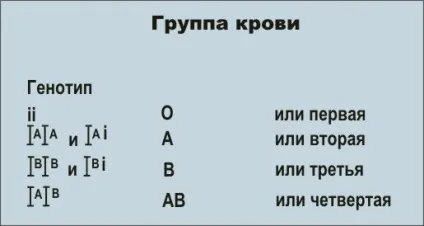 Кон'югація бактеріальних клітин (бактеріальних) Кон'югація бактеріальних клітин