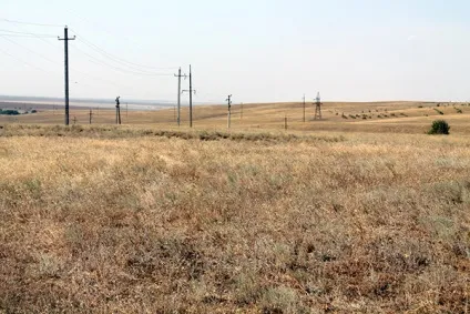 Кореспондент російської планети дізналася, як живуть люди в жаркій Бердичівської степу (ставропольської) Кореспондент російської планети дізналася, як живуть люди в жаркій Бердичівської степу