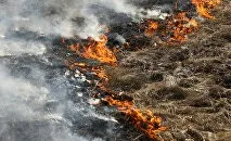 Кухня теледебатів реакція глядачів на епатаж кандидатів (політична партія) Кухня теледебатів реакція глядачів на епатаж кандидатів