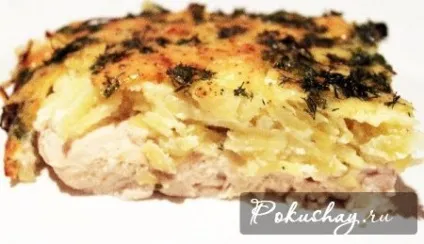 Куряче філе в вершках - класичні рецепти приготування курячого філе в вершках на pokushay