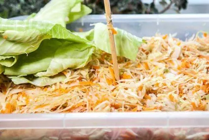 Квашена капуста з цукром і журавлиною - рецепт сучасної домашньої кухні з фото