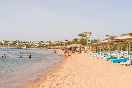 Куди поїхати відпочивати взимку на море - кращі місця (взимку) Куди поїхати відпочивати взимку на море - кращі місця