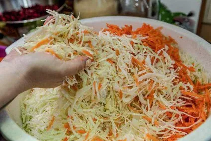 Квашена капуста з цукром і журавлиною - рецепт сучасної домашньої кухні з фото